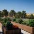 Community garden