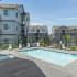 Sparkling Pool, Large Pool, Hot Tub, Heated Pool