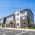 The Banks Luxury Apartments Albany