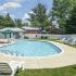 Sparkling swimming pool surrounded by trees and lounge chairs