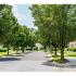 Tree lined drive at Upper Deerfield apartments in Bridgeton, NJ.