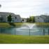 View of Ponds