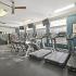 Fully-Equipped Fitness Center | The Oliver | Apartments in Baton Rouge, LA