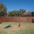 Dog Park