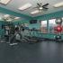 wimbledon lewisville