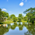 Sunny day, Lake