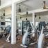 Modern Fitness Center | Lafayette Apartments | Bayou Shadows Apartment Homes