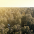 Baton Rouge Apartments | Bayonne at Southshore