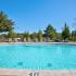 Sparkling Pool | Leesville Apartments | Timber Ridge Apartment Homes
