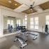 strength equipment  Harrison at Braselton Buford GA 30519