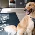 Pet friendly apartments at Park 35 Birmingham AL 35222