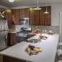 State-of-the-Art Kitchen
