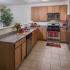 State-of-the-Art Kitchen