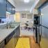 Luxurious Kitchen