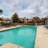 Resort Style Pool
