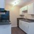 Luxurious Kitchen