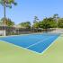 Tennis and pickle ball courts.