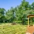 Pet-Friendly Bark Park