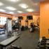 Fitness Center with Free Weights and Cardio Equipment | Canton Woods