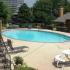 Sparking Swimming Pool with Lounge Seats