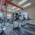 Stoney Creek Gym