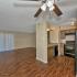 Vinyl Plank Flooring
