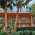 new orleans apartments military family pet friendly pool gym gated safe studio one bedroom two bedroom washer dryer dishwasher leasing move in
