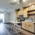 Kitchen/Living Room