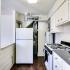 Fridge, hot water heater and stove.