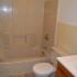 Pine Park Terrace, interior, bathroom, shower/tub, toilet, sink, cabinet