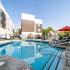 Resort Style Pool