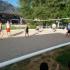 Sand Volleyball Court