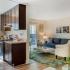 Living Room and Kitchen