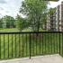view from patio to landscaped grounds