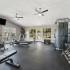 fitness center with cardio and weight machines and free weights