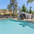 pool area