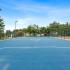 soccer field