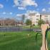 dog park with obstacles