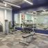Fitness center with cardio and weight machines and free weights