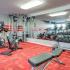 Fitness center with cardio and weight machines and free weights