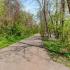 Paved trail