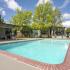 Pool area with lounge chairs