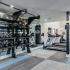 Fitness center with cardio and weight machines and free weights