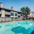 Pool area with lounge chairs