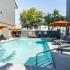 Pool with lounge chairs and umbrellas