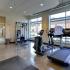 Fitness center with cardio and weight machines and free weights