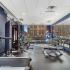 Fitness center with cardio and weight equipment and free weights