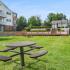 ReNew on Lindbergh Picnic Area