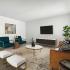 furnished living room