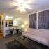 Luxurious Living Room | Collegiate Communities